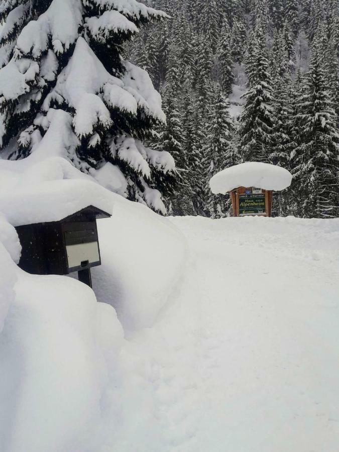 Haus Alpenheim Hotell Flachau Exteriör bild